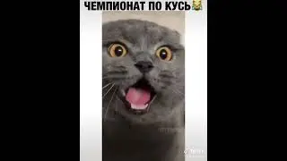 Самый Техничный Кусь