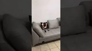 ￼ Pues, como ven hermanas, así quedaron las cortinas.