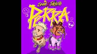 J Balvin, Tokischa - PERRA (Official Audio
