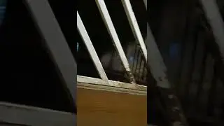 тур по конюшне🏇🏇🏇
