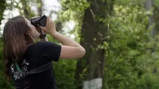Making Princeton University Safer for Birds