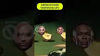 Африканские чемпионы UFC shorts 