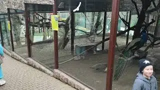 Сафари-парк. Геленджик. Часть 1.