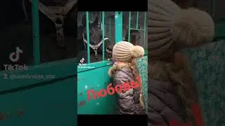 Встреча будущей наездницы Полины и Султана. ЗАО ПЛЕМЗАВОД ВЕРХ-ИРМЕНЬ Новосибирской области