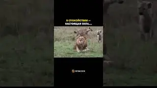 🏆 Как стать сильным 