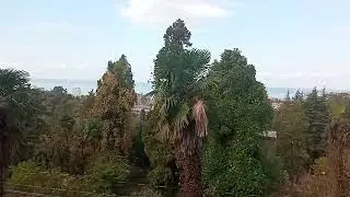 ДАЧА НИКОЛАЯ РОМАНОВА В МАХИНДЖАУРИ.  ГРУЗИЯ .