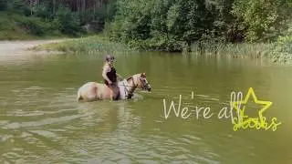We're all Stars (Reiners2k17)