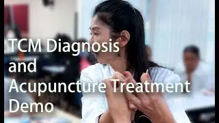 TCM Diagnosis and Acupuncture Treatment Demo