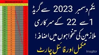 Chart of Increase in Salary All Government Employees Dec 2023  Special Allowance & Wage Rate 2023