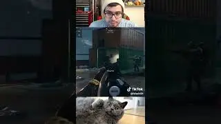 Fat Cat Quickfire Reel