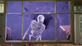 Skelton Knocks Me to the Ground