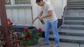 06062009005
