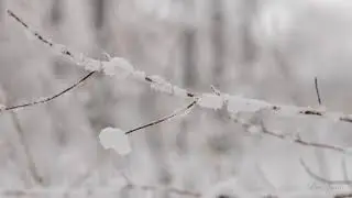 WINTER2020 YT4K