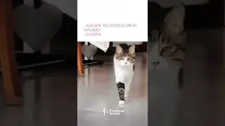 #michis #tattooartist #funnyreels