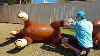 New IW Brown Horse vs Horseplay Inflatables Horse Inflation