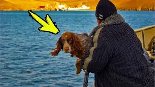 The owner decided to get rid of the old dog. But the incredible happened!