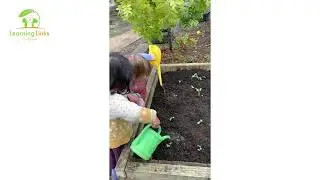 Kids Learning about Guardianship and Protection - Learning Links Childcare