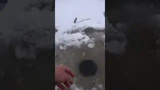 СУПЕР ГОЛАВЛЬ на покаток.