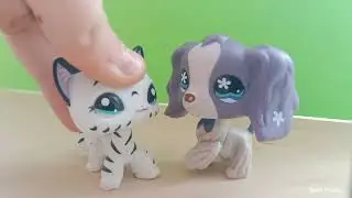 teď něco o mě budete vědět+ informačka ohledně videí a moje sbírka LPS