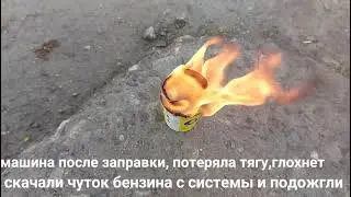 1 мая 2021 г.