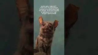 Речь не об играх😅