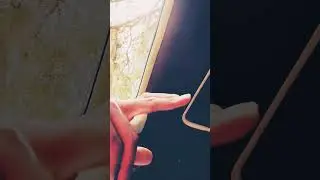 They Same ones At Home Hating Snippet PSA OPTIONGETMONEY Florida Subscribe