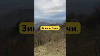 Зима в Сочи. #дагомыс #сочи #черноеморе #зима #россия #места #приключения #путешествия #чайныедомики