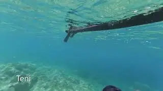Levrek&Oktapod ne porto palermo
