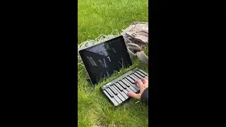 🏞️ +🎹