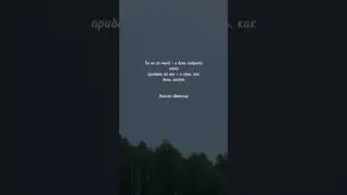 Цитаты 