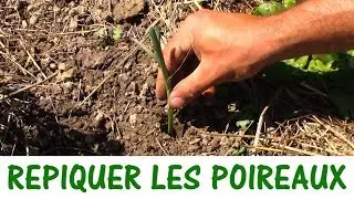 PLANT THE LEEKS