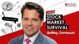 Stock Market Survival w/ Anthony Scaramucci (WSB373)