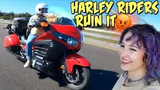 Harleys Ruin EVERYTHING!
