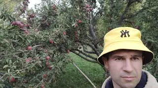 ИСПАЙ қишлоғи ҳаёти. 02 май 2022 йил