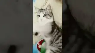 26 сентября 2023 г.