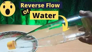 5 Amazing science Experiments to try at home || Reverse Flow of Water || Scientific Beast