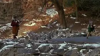 The Bird Lady in #HomeAlone | #TheBirdLady Merry Christmas Special x YT Movie Spot feat. Sir Ceaser