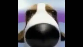 ? 10 часов