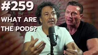 #259 - What are the pods?