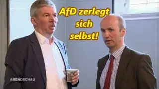 AfD im Sinkflug!