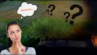 SOMETHING IS HIDING IN THE BUSH!?