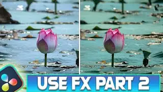 Video Effects for Editing+Davinci Resolve Color Grading+Next | 