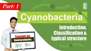 Cyanobacteria: Introduction, Classification and typical structure (Part I) (Sinhala Medium)