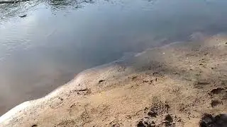 Нашёл в лесу секретное сказочное место на берегу реки Ик.