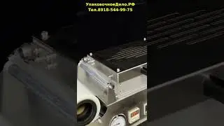 Упаковка на подложке и лотке Вакуумная машина скин упаковки для пищевых продуктов