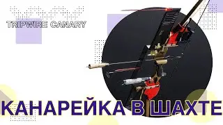 Destiny 2: КАНАРЕЙКА В ШАХТЕ!