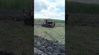 Трактор Т-74 продолжает культивацию КПЭ #дт75 #farming #dt75 #синийтрактор