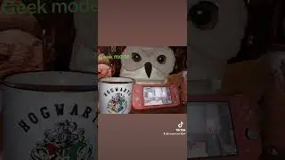 Hogwarts Legacy Geeking Out