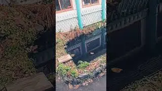 осень