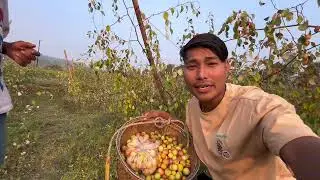 Babilon vlogs accident explanation 😱😭 /zx10r crash// Bijoy Amsi